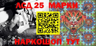 прущие крисы Нальчик
