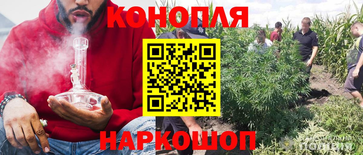Бошки марихуана план Саратов
